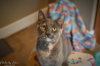 Mollie Orchard - Photo 2