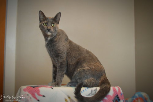 Photo 3 of Mollie Orchard