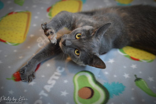 Photo 4 of Mollie Orchard