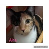 Aira Mirage - Photo 2