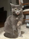 Ash - Photo 2
