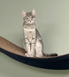 Polly Sailor - Photo 4