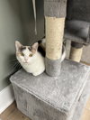 Avery Olaf - Photo 4