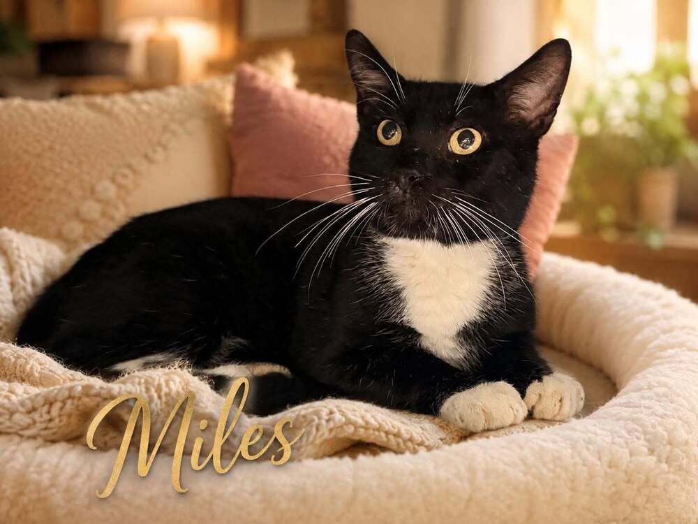 Miles