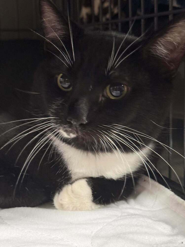 Jax