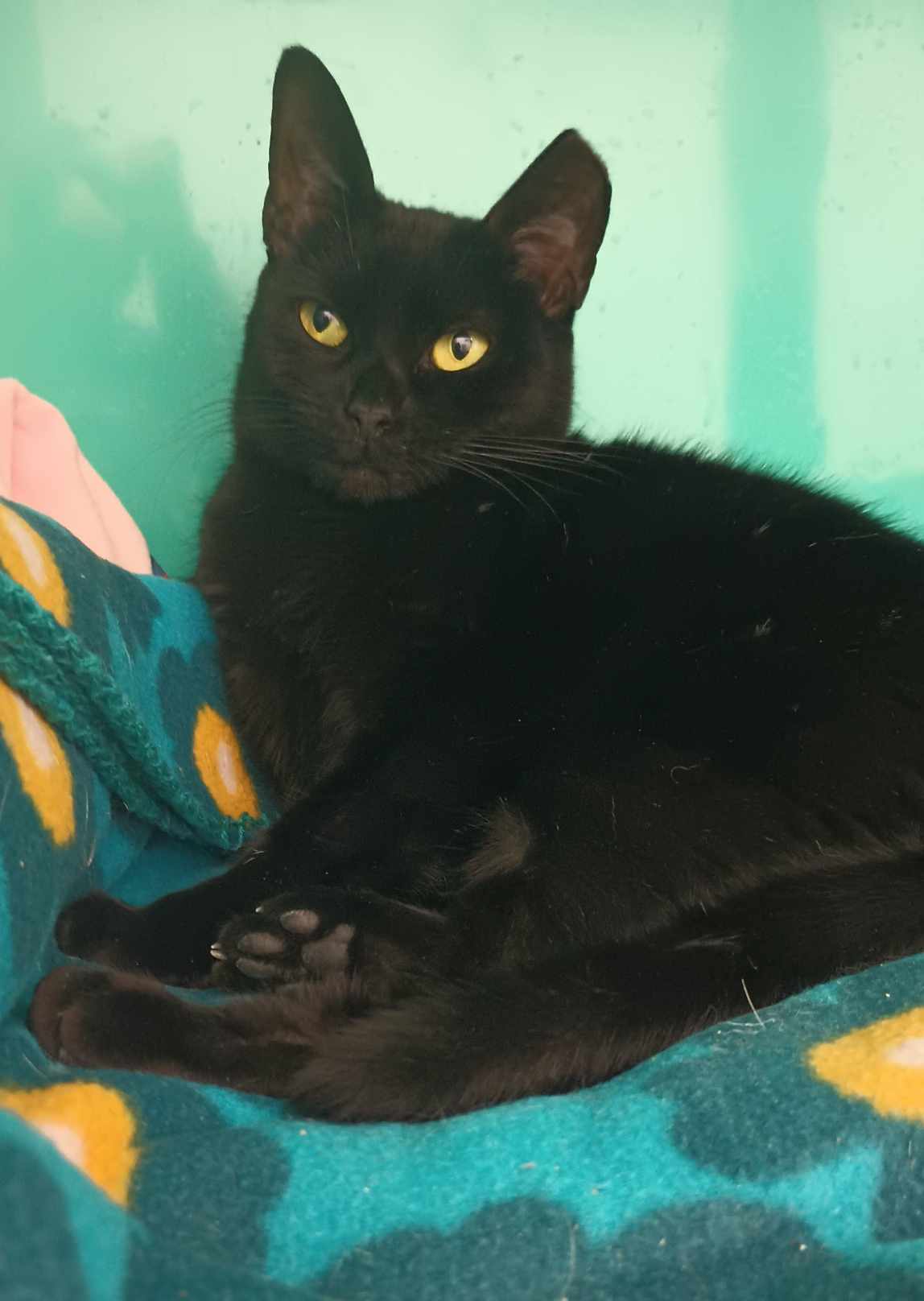 Baby AND Finn, photo 6