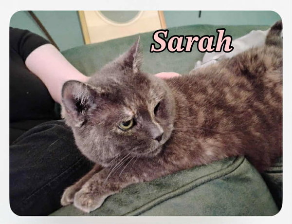 Sarah
