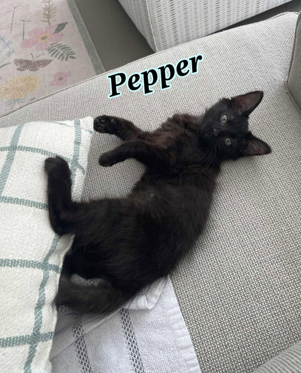 Pepper3