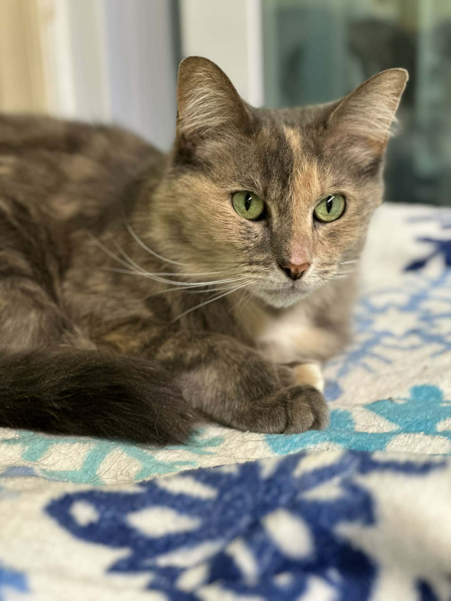 Luna