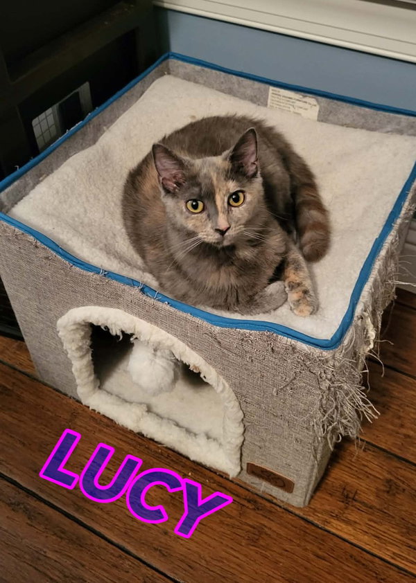 Lucy