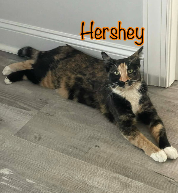 Hershey