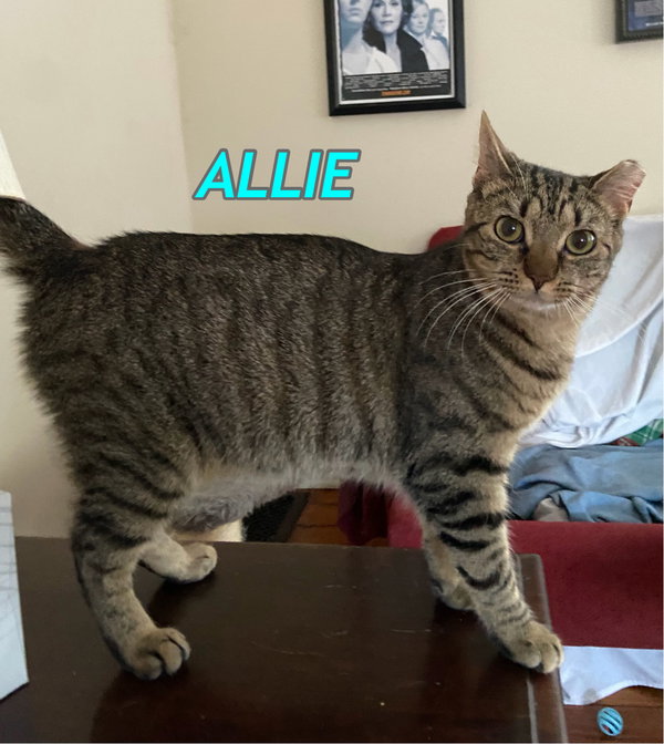 Allie AND Prince