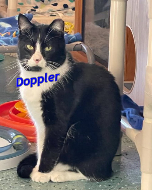 Doppler photo 3