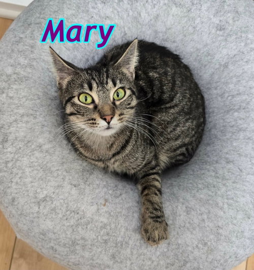 Mary photo 4