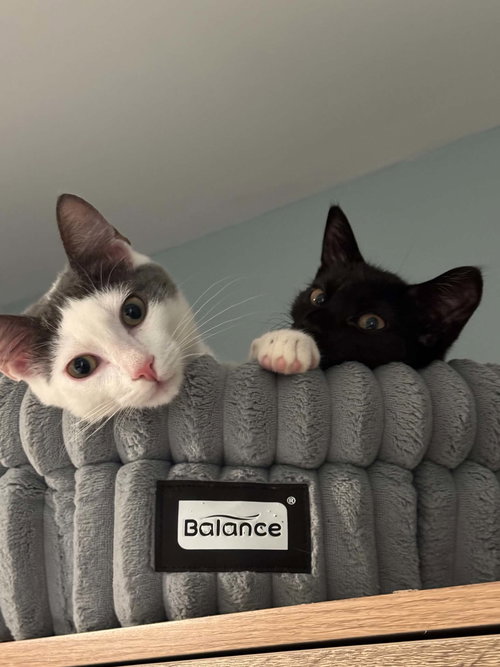 Photo 4 of Cy AND Peaches