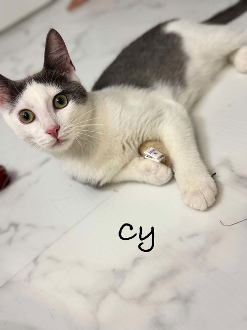 Photo 5 of Cy AND Peaches