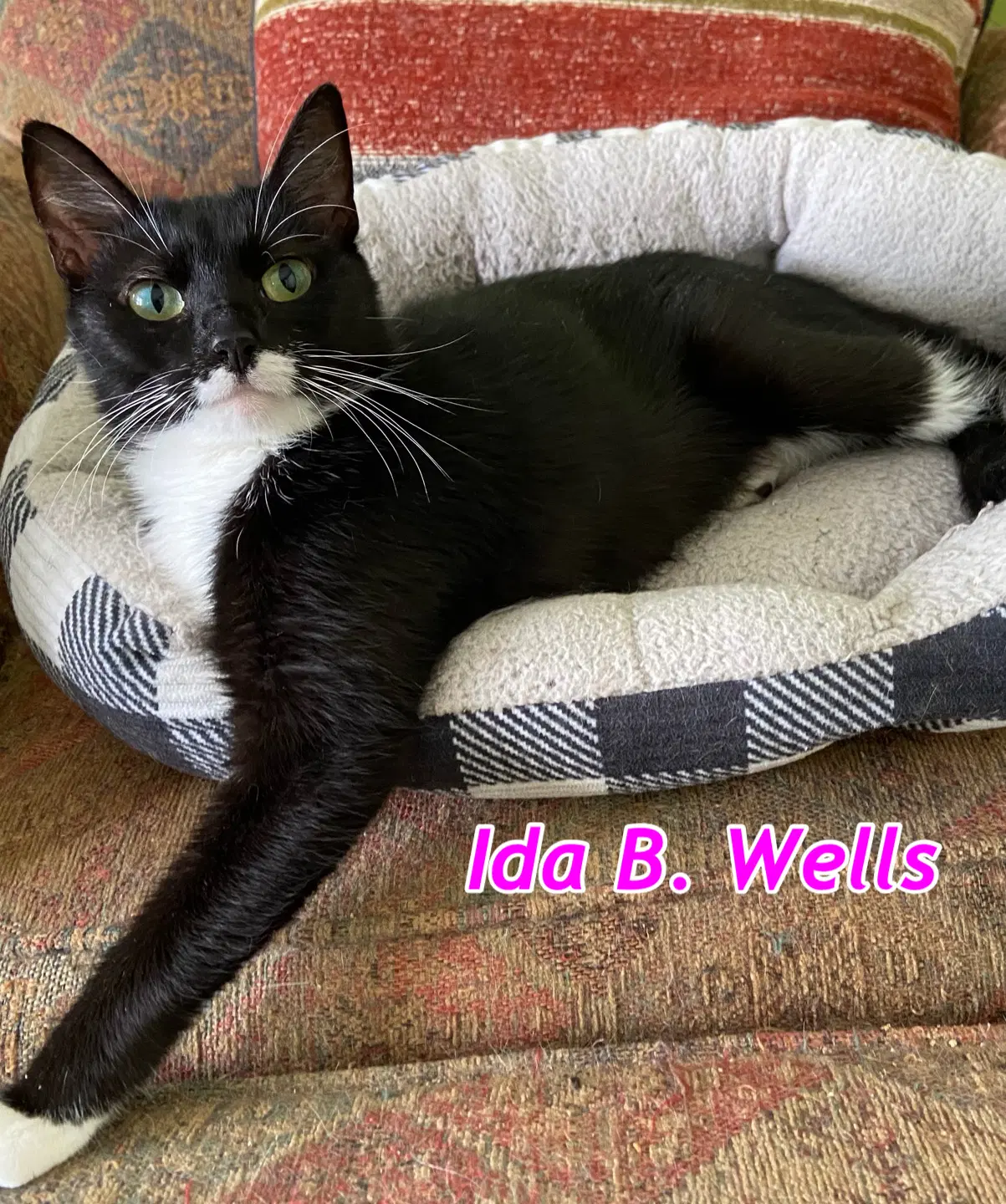 Ida B Wells image 3