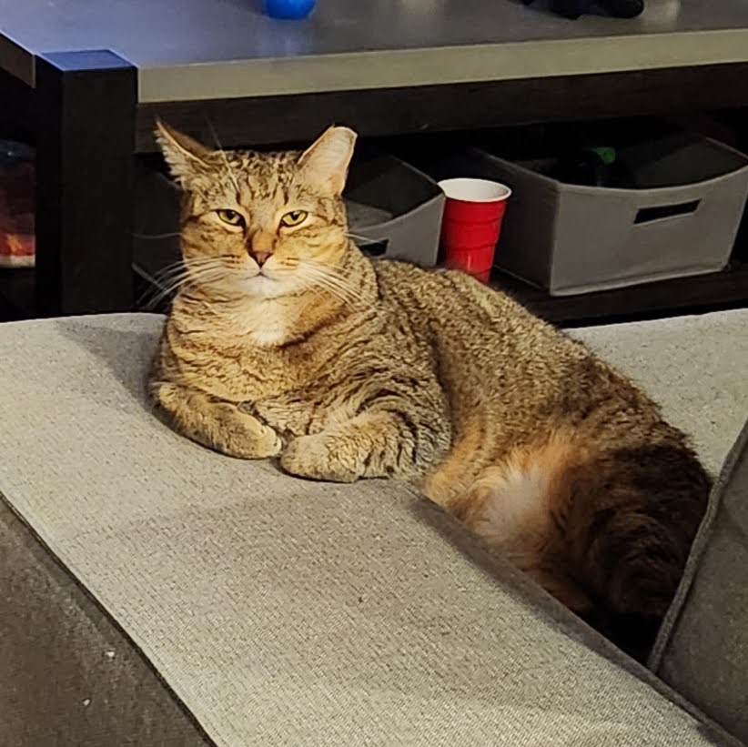 Misu Misu Image