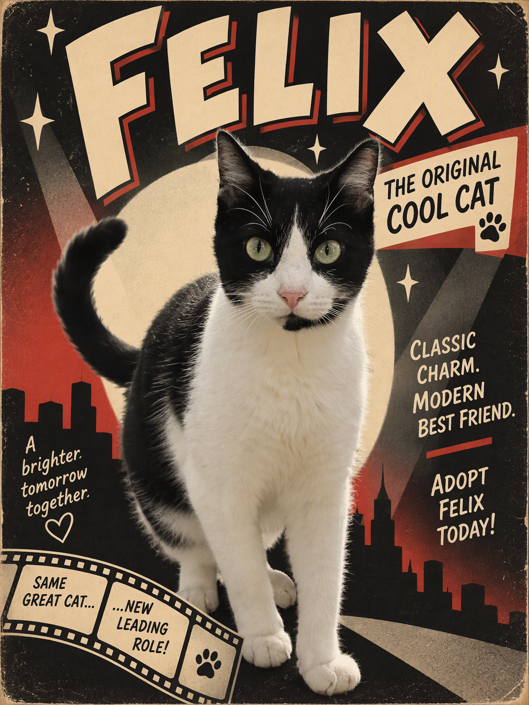 Felix, photo 2