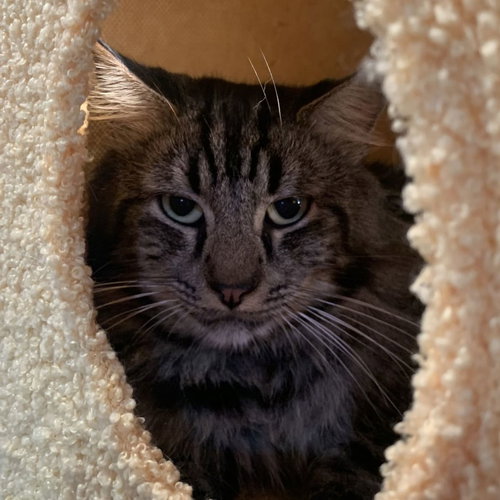 Sebastian