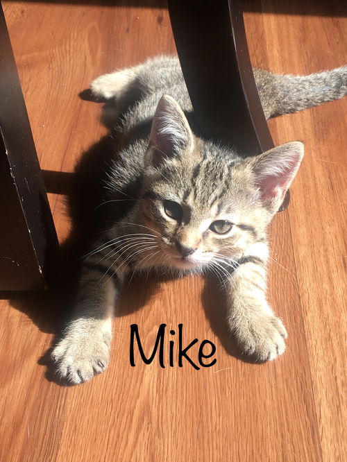 Mike