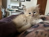 Bill