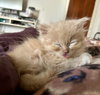 Bill