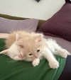 Bill