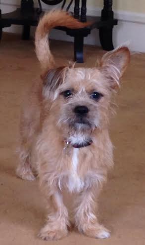 Millie