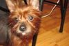 Lucy
