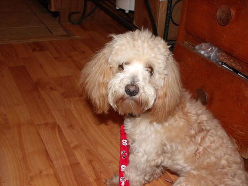 LeRoy