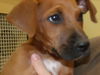 Leroy