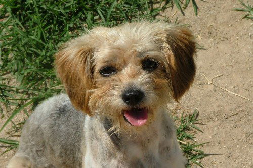 Lucy