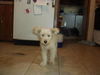 Missy