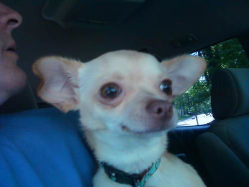 Rudy