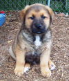 Lukas