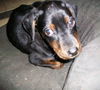 Lilly