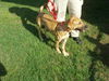 Buster