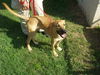 Buster