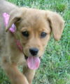 Leah