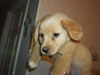 Lucy