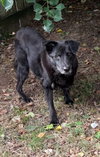 Chip - Photo 1