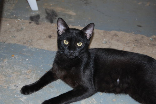 Otis photo 3