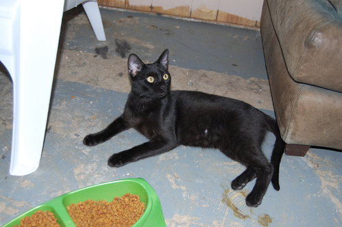 Otis photo 4