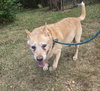 Tannie - Photo 3