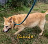 Tannie - Photo 4