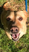 Tannie - Photo 2
