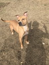 Cash - Photo 3