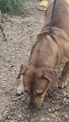 Butch Cassidy - Photo 3
