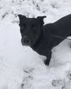 Shelly - Photo 3